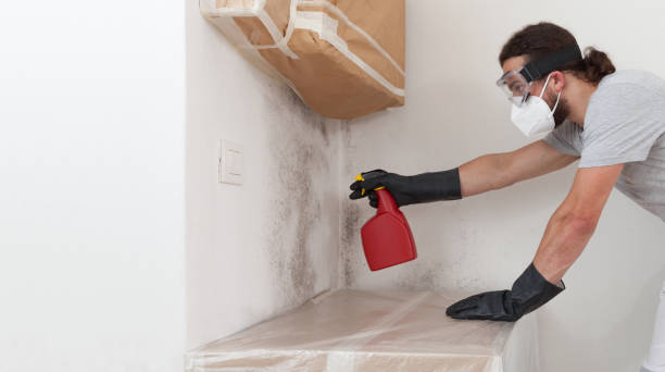 Professional Mold Cleanup technician working in McBain, MI