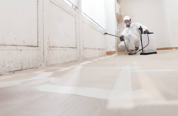 24/7 Emergency Mold Cleanup experts in McBain, MI