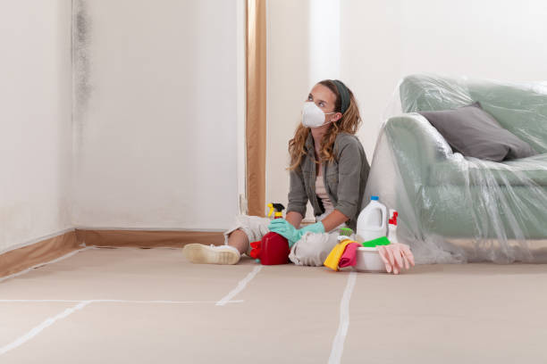 Reliable Mold Cleanup contractor in McBain, MI by WQB Mold Removal